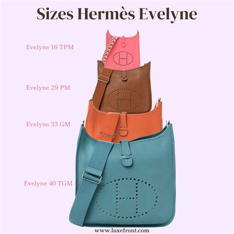 hermes evelyne sizes and prices|hermes evelyne size chart.